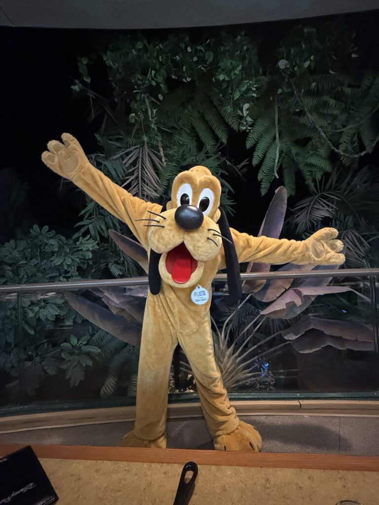 Pluto im Restaurant im Walt Disney World